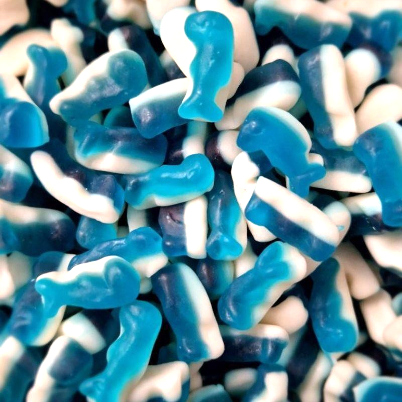 Mini Dolphins 100g